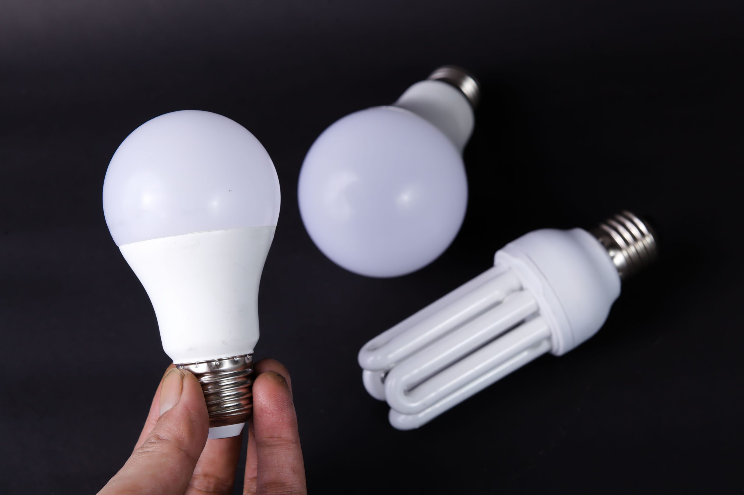 Ampoules LED et fluocompactes sur fond noir