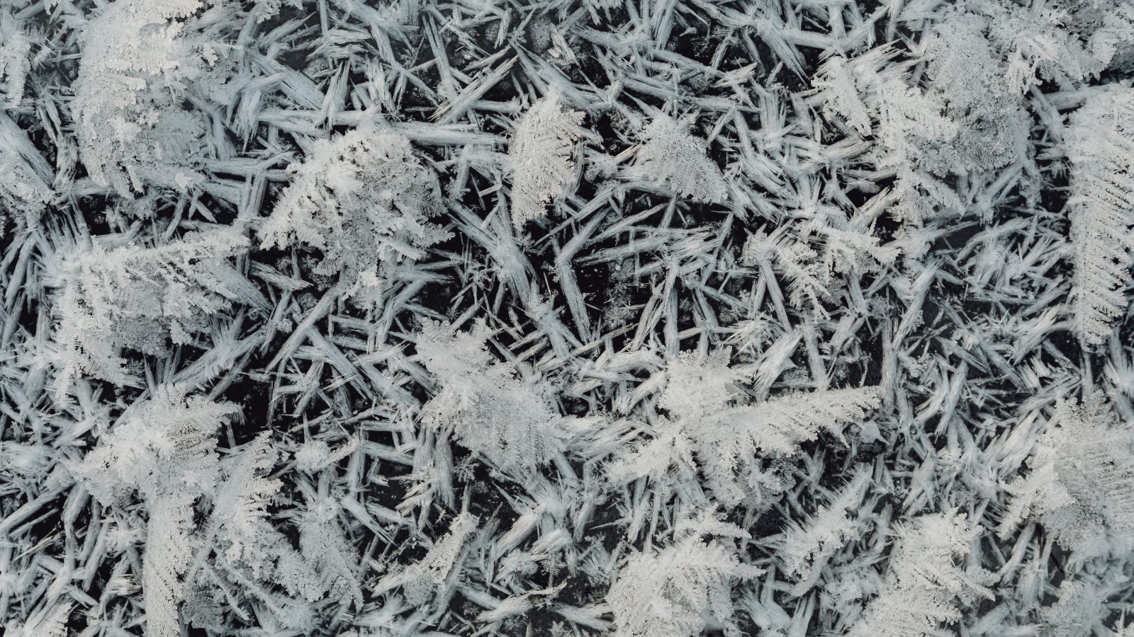 Givre et glace formés sur une vitre froide