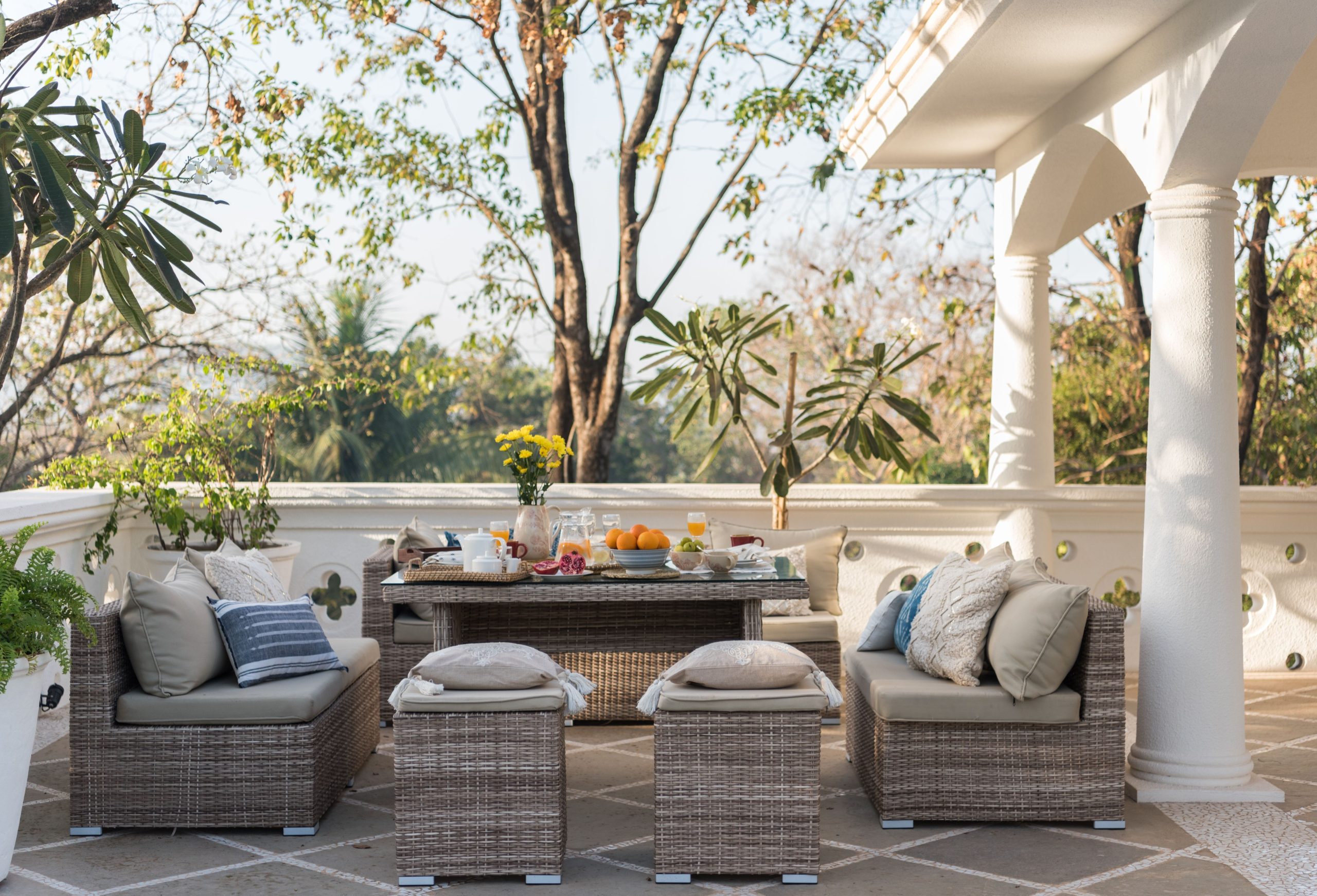 Patio cosy avec plantes et coin repas.